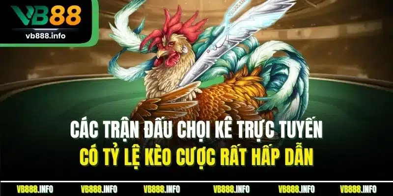 Đá Gà Online | Hình Thức Chọi Kê Trực Tuyến Mới Nhất 2025 5 Các trận đấu chọi kê trực tuyến có tỷ lệ kèo cược rất hấp dẫn