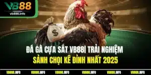 Đá Gà Cựa Sắt VB88| Trải Nghiệm Sảnh Chọi Kê Đỉnh Nhất 2025