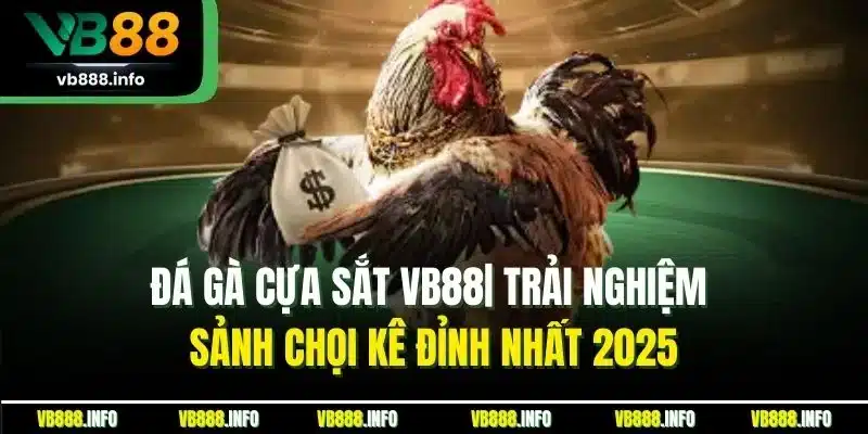 Đá Gà Cựa Sắt VB88| Trải Nghiệm Sảnh Chọi Kê Đỉnh Nhất 2025
