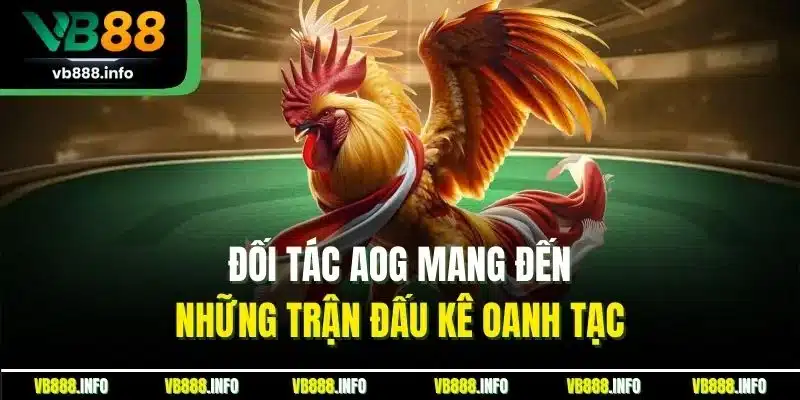 Đối tác AOG mang đến những trận đấu kê oanh tạc