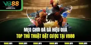 Mẹo Chơi Đá Gà Hiệu Quả - Top Thủ Thuật Đặt Cược Tại VB88