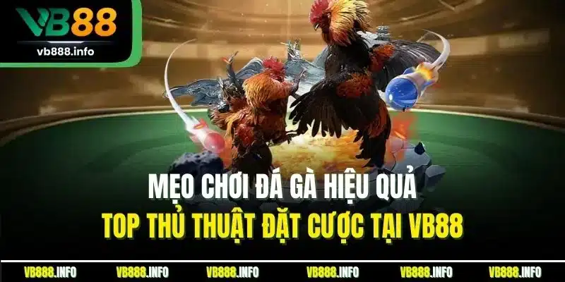 Mẹo Chơi Đá Gà Hiệu Quả - Top Thủ Thuật Đặt Cược Tại VB88