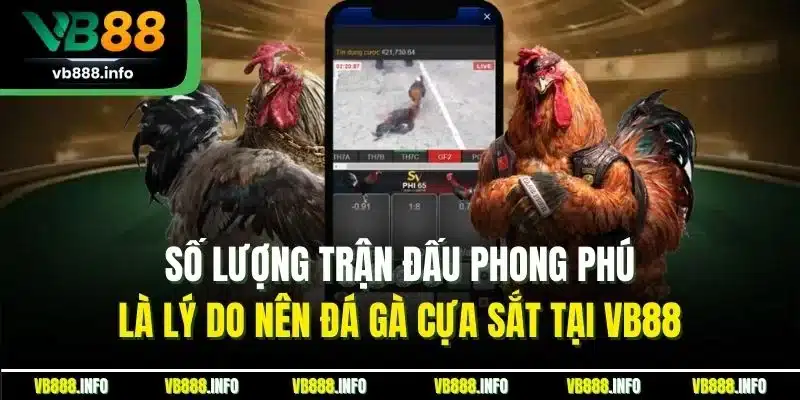 Đá Gà Cựa Sắt VB88| Trải Nghiệm Sảnh Chọi Kê Đỉnh Nhất 2025 3 Số lượng trận đấu phong phú là lý do nên đá gà cựa sắt tại VB88