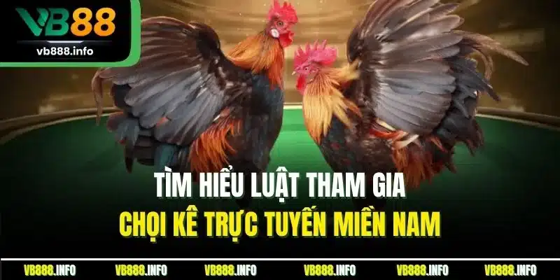 Đá Gà Online | Hình Thức Chọi Kê Trực Tuyến Mới Nhất 2025 4 Tìm hiểu luật tham gia chọi kê trực tuyến miền Nam
