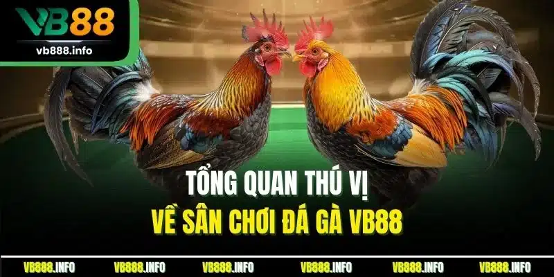 Tổng quan thú vị về sân chơi đá gà VB88