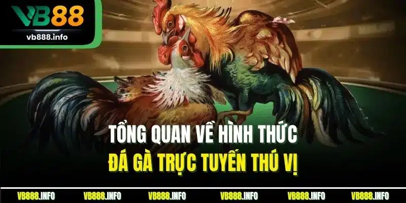 Đá Gà Online | Hình Thức Chọi Kê Trực Tuyến Mới Nhất 2025 2 Tổng quan về hình thức đá gà trực tuyến thú vị